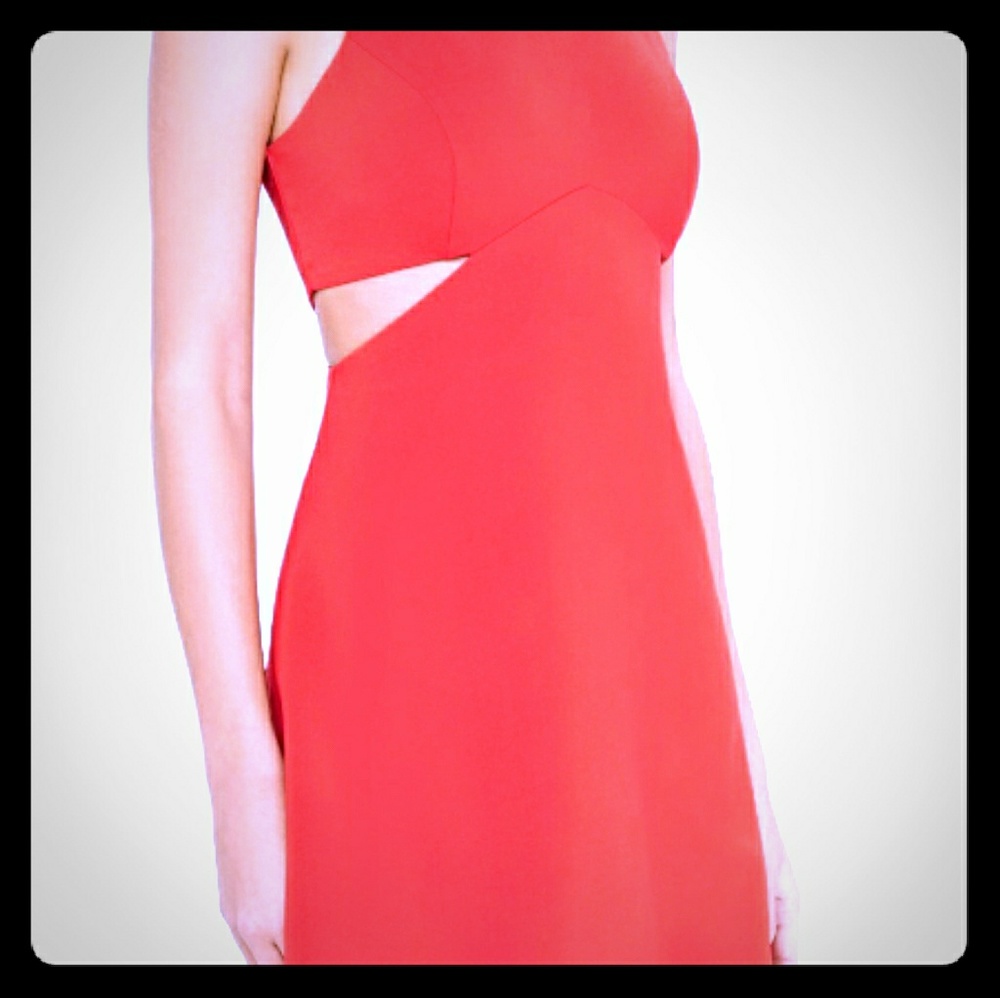 Express Mini Cut Out Dress